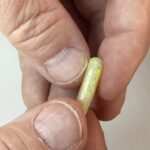 UN-0187-9