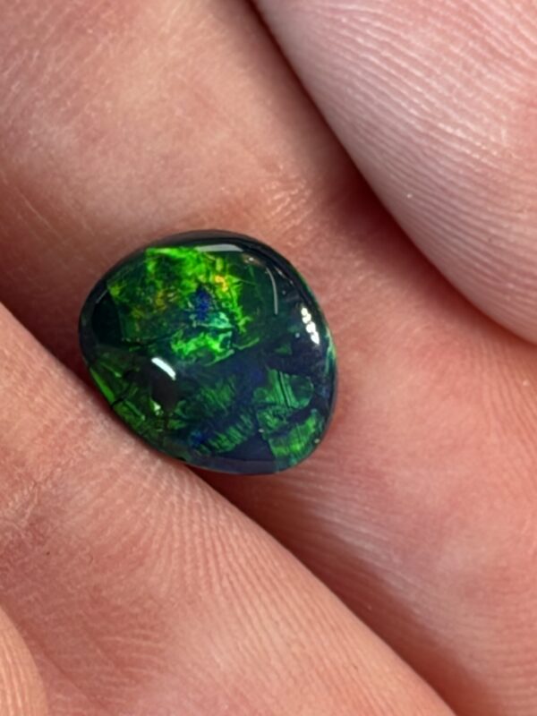 un-0164-8
